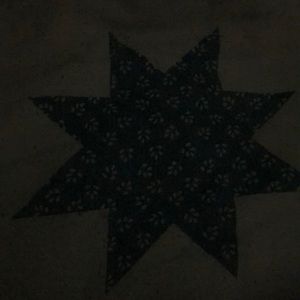 Meet your Posher, Marsha